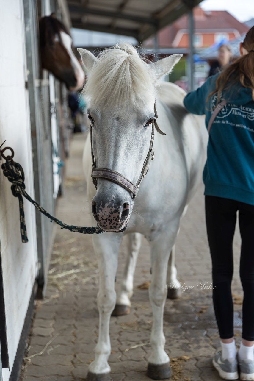 Bild 16 - Pony Akademie Turnier